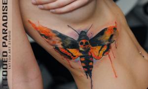 The meaning, history and significance of the moth tattoo. Moth moth tattoo.
