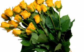 Народная примета «Желтые цветы Что означает желтые цветы в подарок