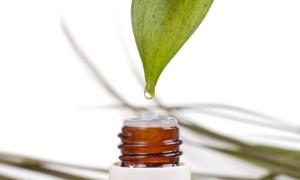 Tea tree essential oil for hair - uses and recipes