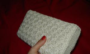 Clutch with knitting needles How to crochet a clutch for beginners