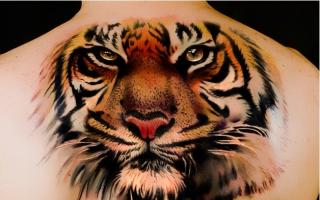 Znaczenie w więziennym obozie tatuaży tygrysich