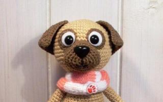 Cómo tejer un perro a crochet: descripción paso a paso, diagramas y recomendaciones