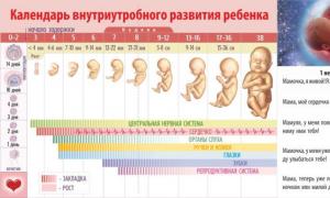 Ինչպես որոշել երեխայի սեռը ըստ ծնողների ծննդյան ամսաթվի, արյան խմբի, վերջին դաշտանի, բեղմնավորման ամսաթվի, արյան նորացման, սրտի բաբախյունի, ըստ չինական օրացույցի: