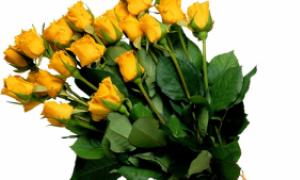 Semn popular „Flori galbene” Ce înseamnă florile galbene ca cadou