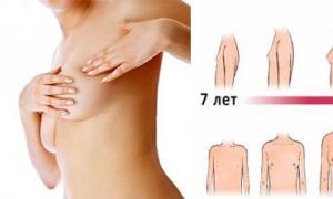 How long do breasts grow and what is needed for this?