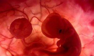 Zmrazené těhotenství v raných fázích: důsledky Když se objeví zmrazené těhotenství
