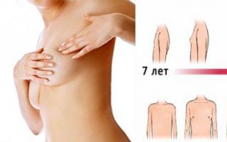 Ako dlho rastú prsia a čo je na to potrebné?