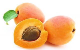 aprikožu eļļa aprikožu eļļa